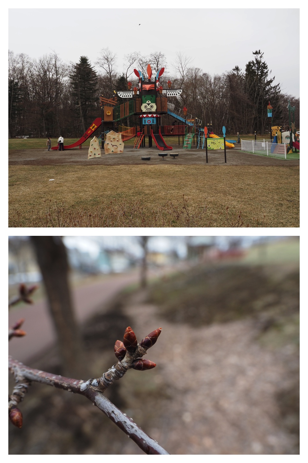 260327_Midorigaoka_9