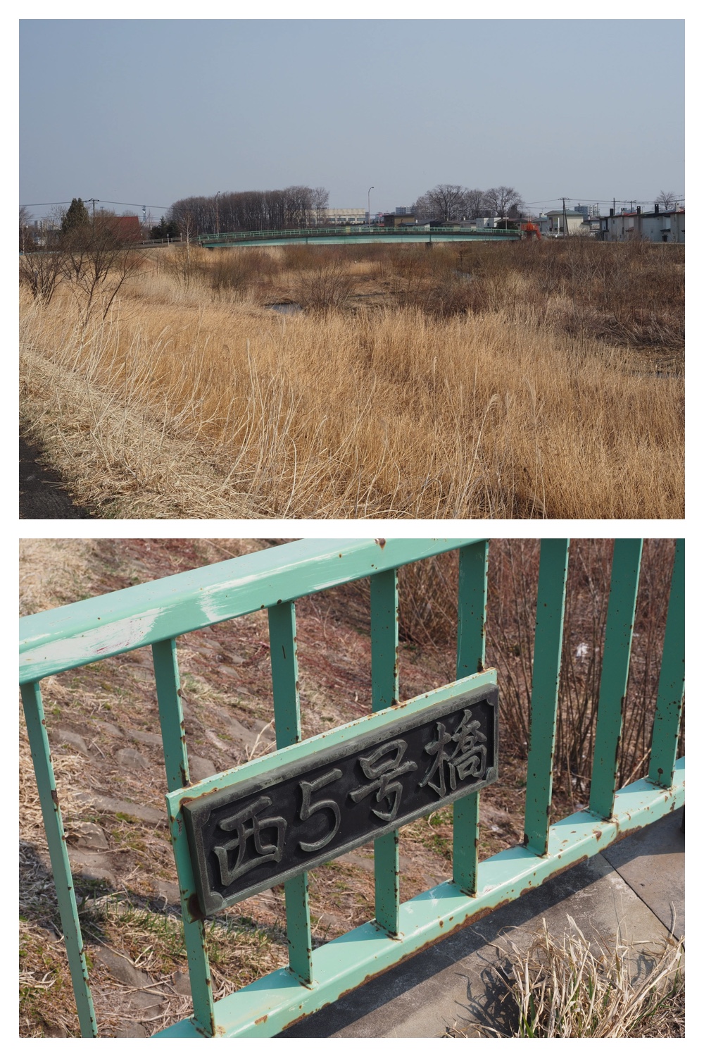 260329_Kunimiyama_16