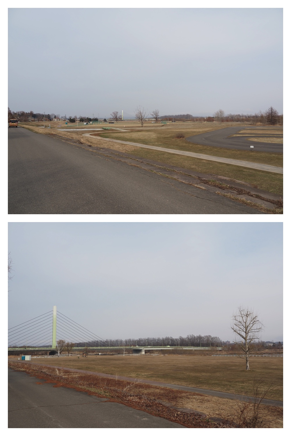 260330_Aoyagihashi_9