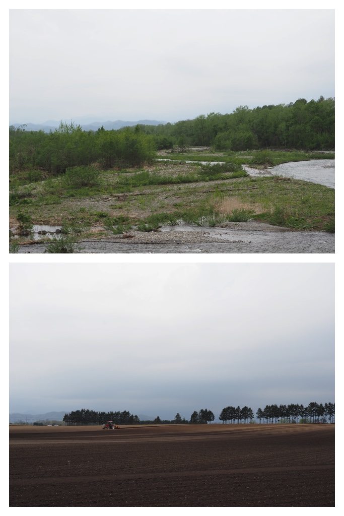 260508_Nakasatsunai_27