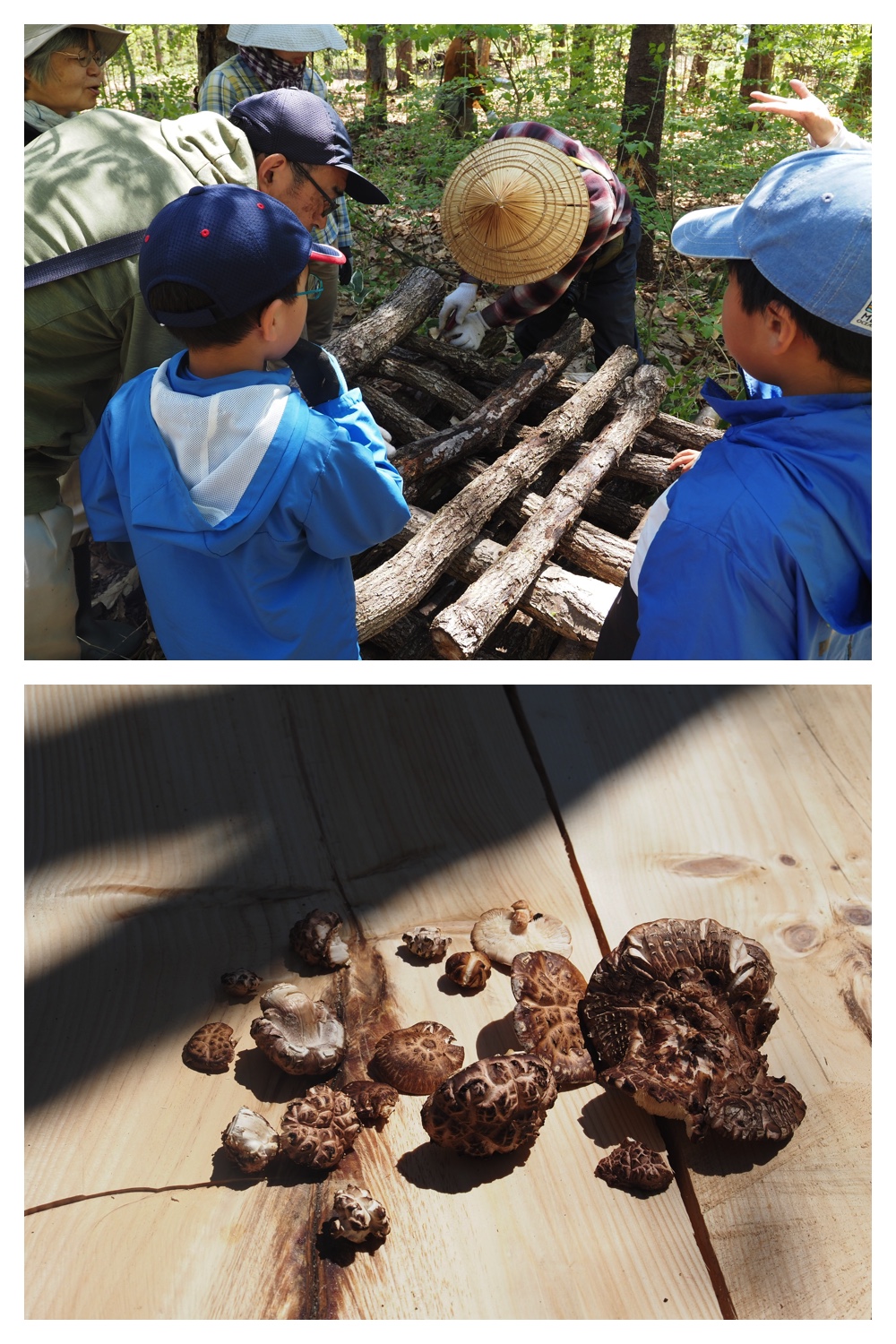 260510_Satoyama_15