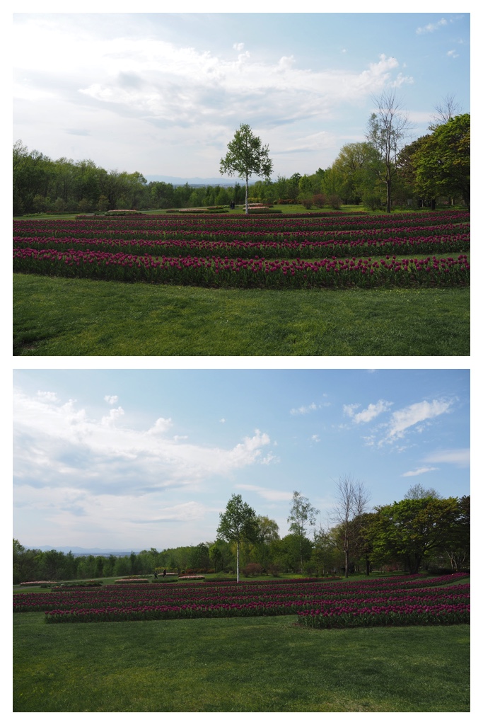 260511_Tokachi-hills_6
