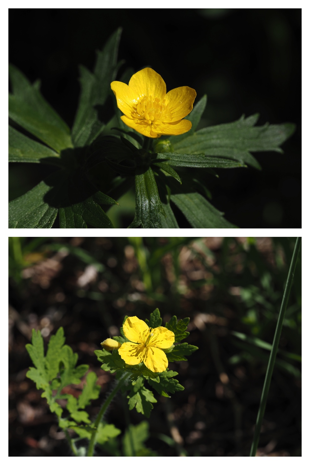 260514_Tokachigaoka_19