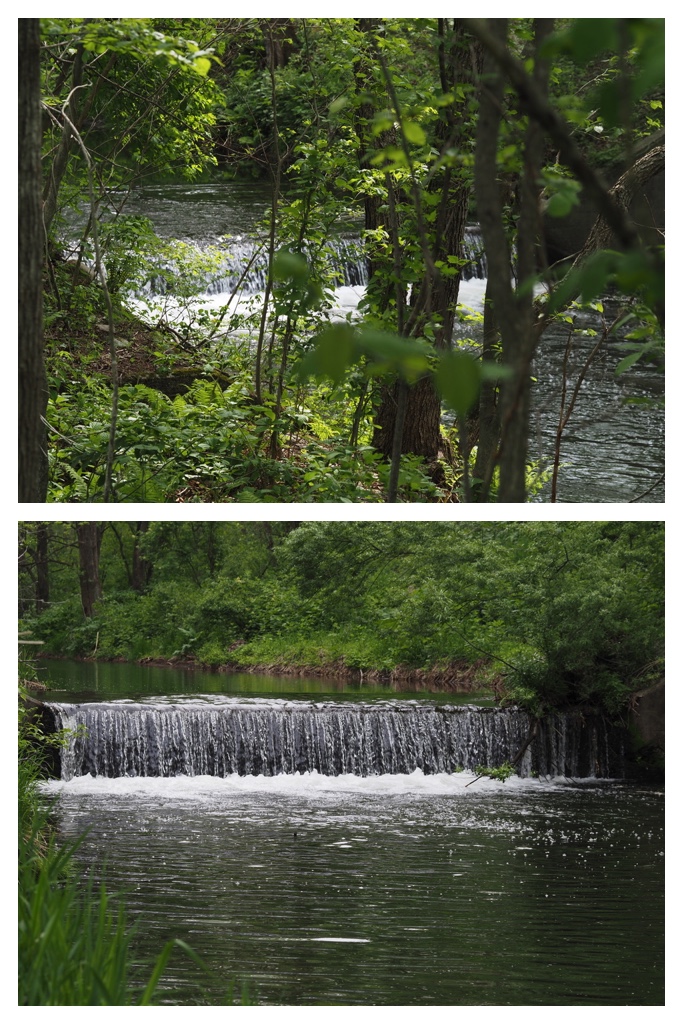 260521_Urikaigawa_8