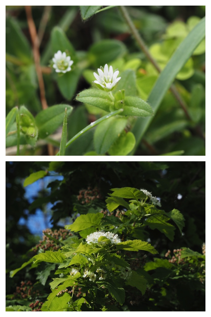 260529_Noukoumori_14