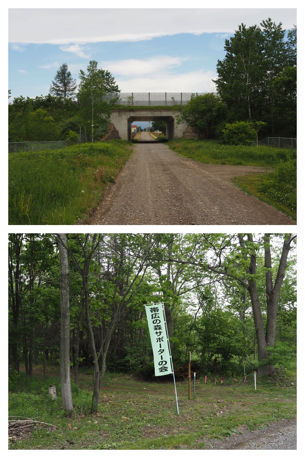 260531_Ezorisu-census_14