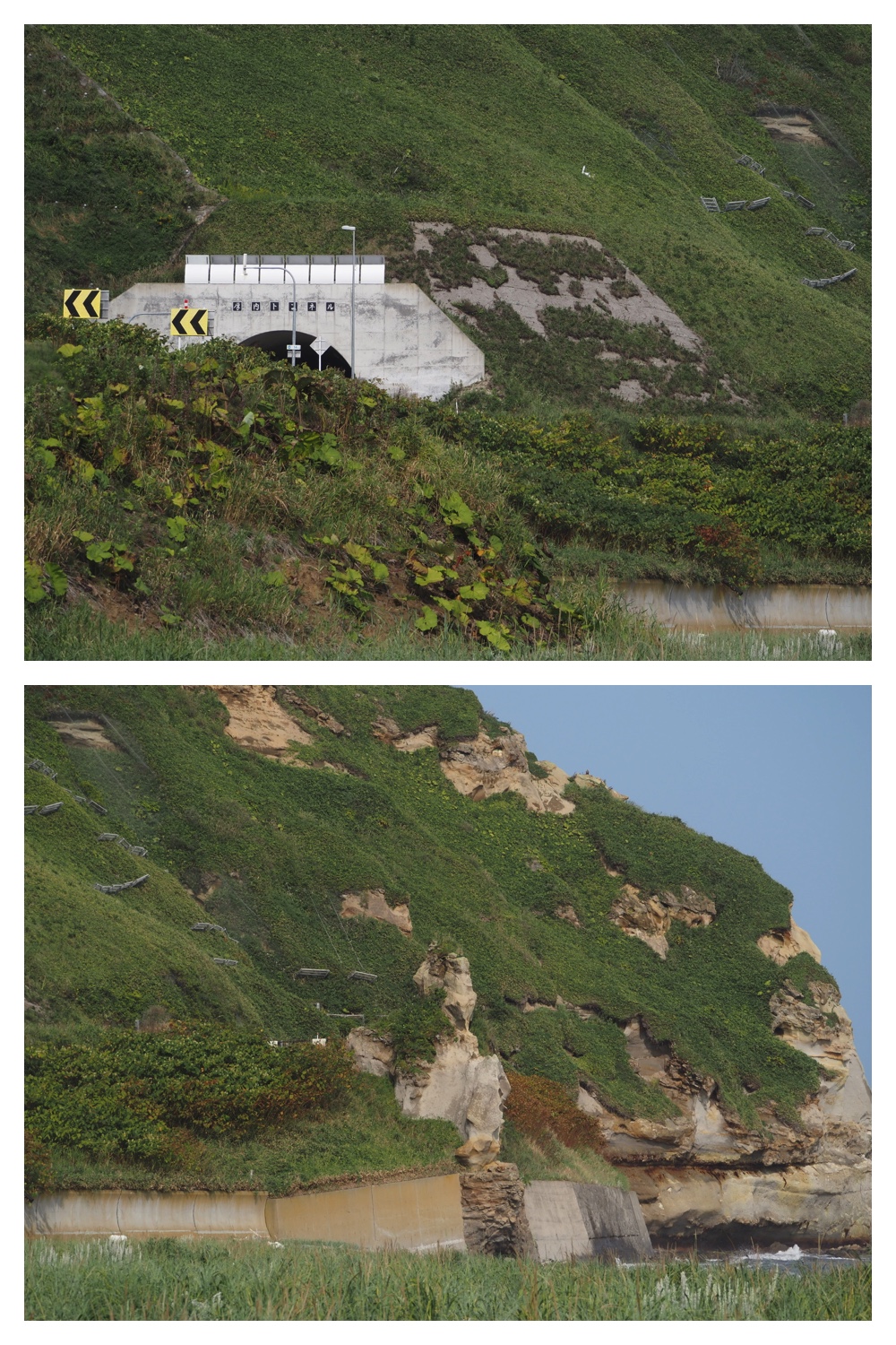 260905_Shizenshi_39