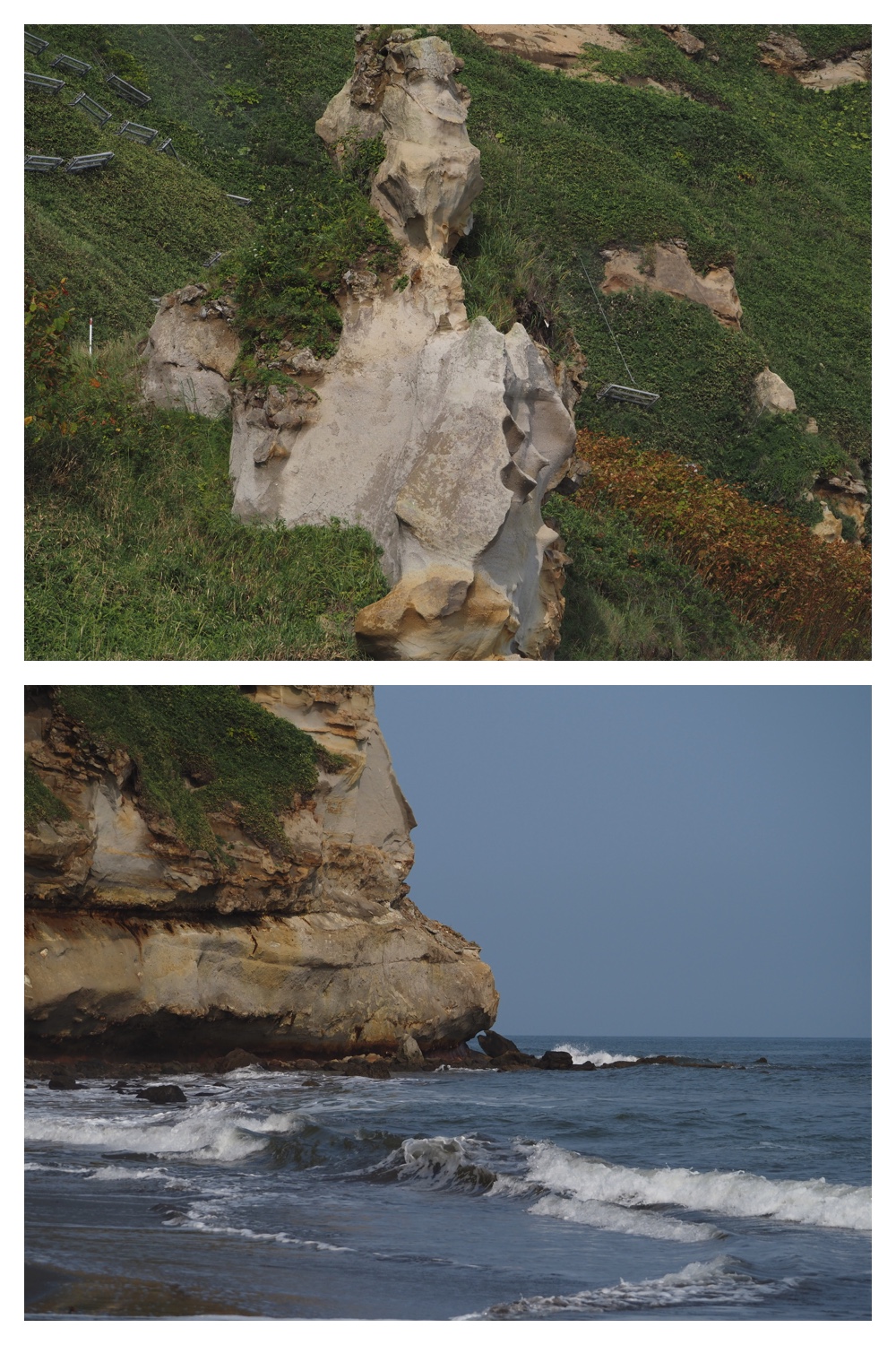 260905_Shizenshi_45