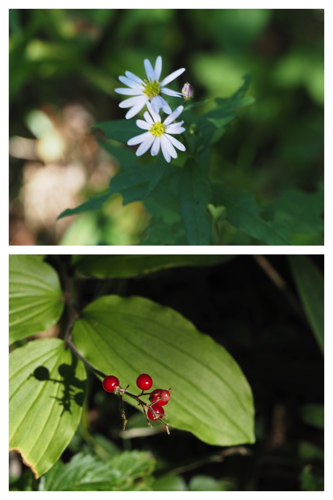 260911_Kunimiyama_11