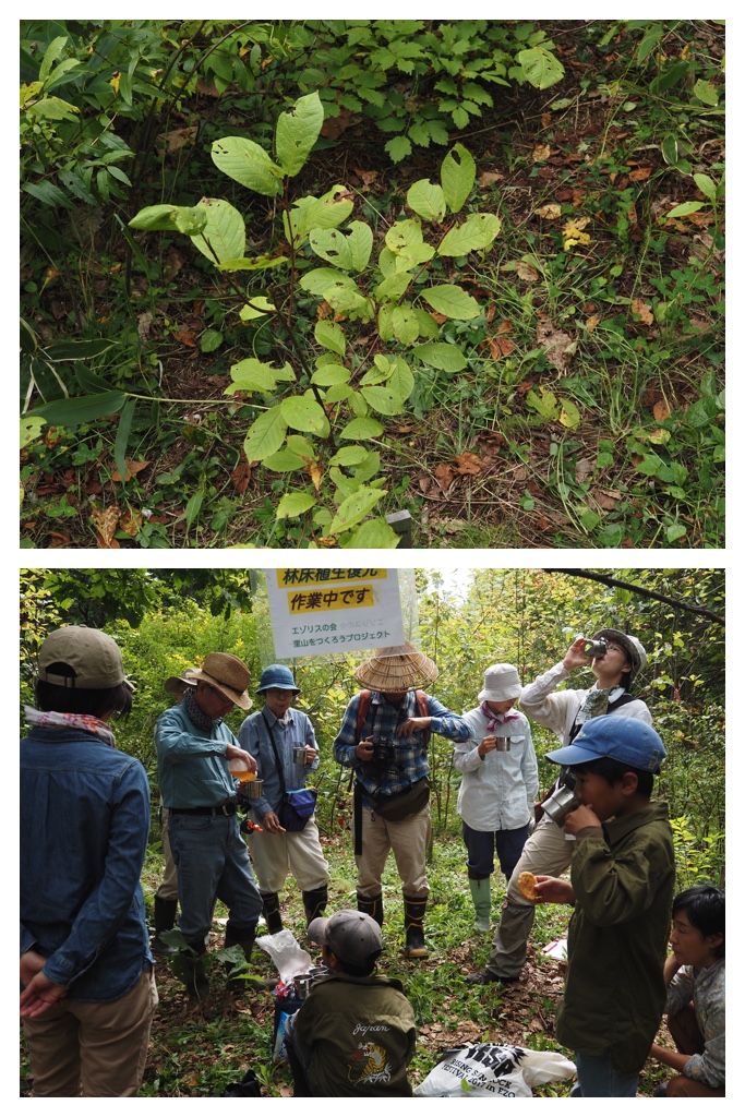 260913_Satoyama_13
