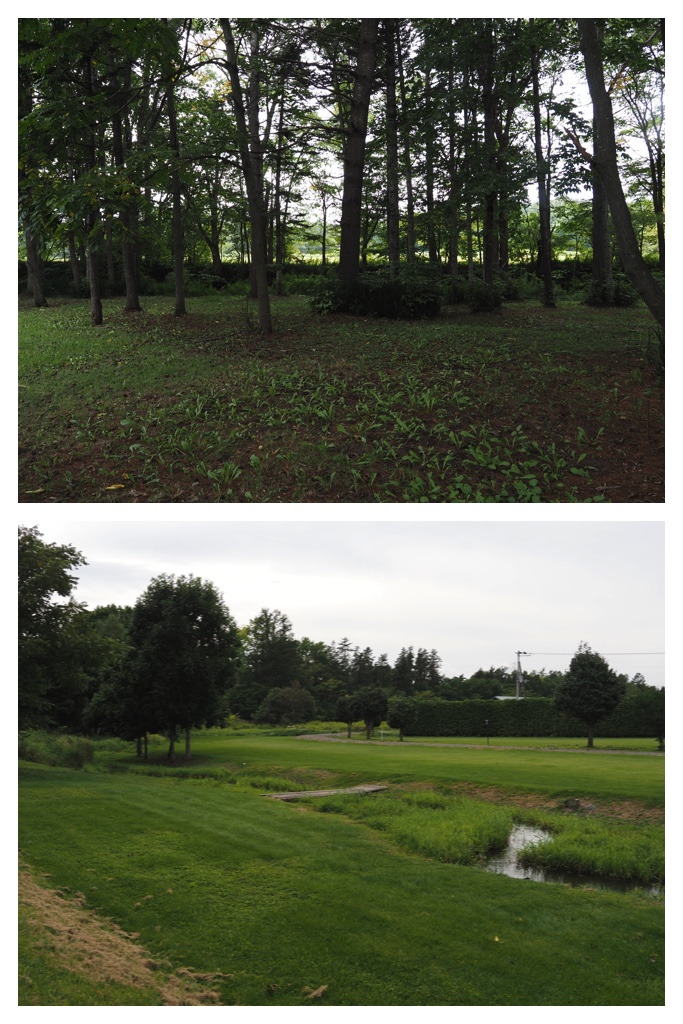 260913_Satoyama_26