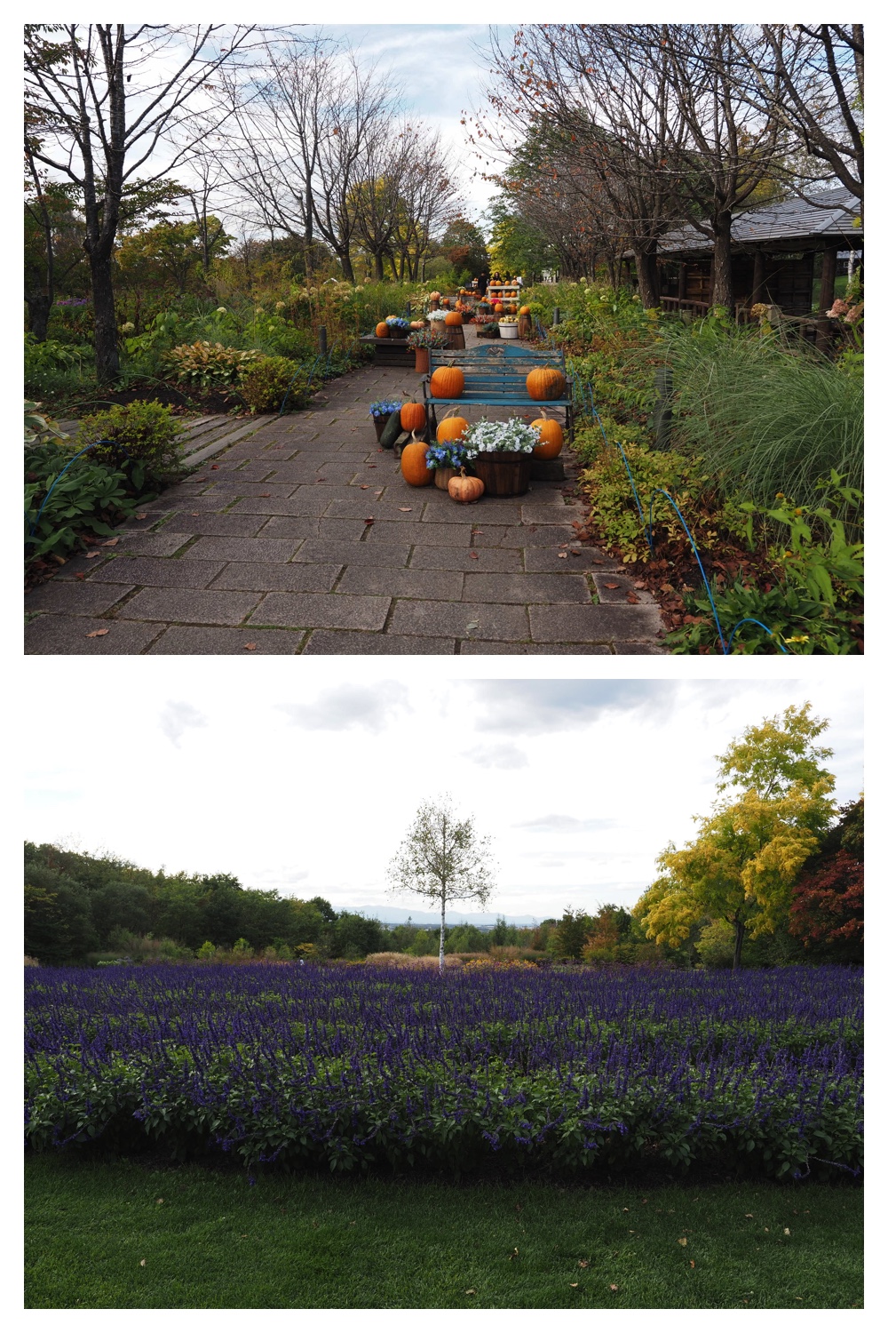 260930_Tokachi-hills_10