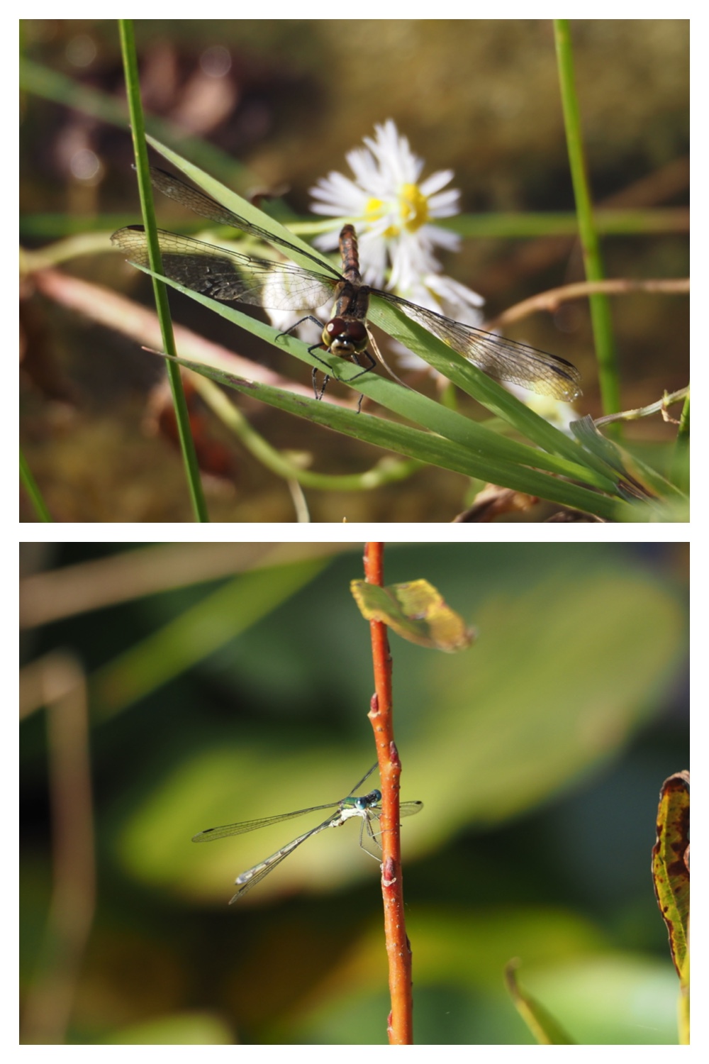 260930_Tokachi-hills_15