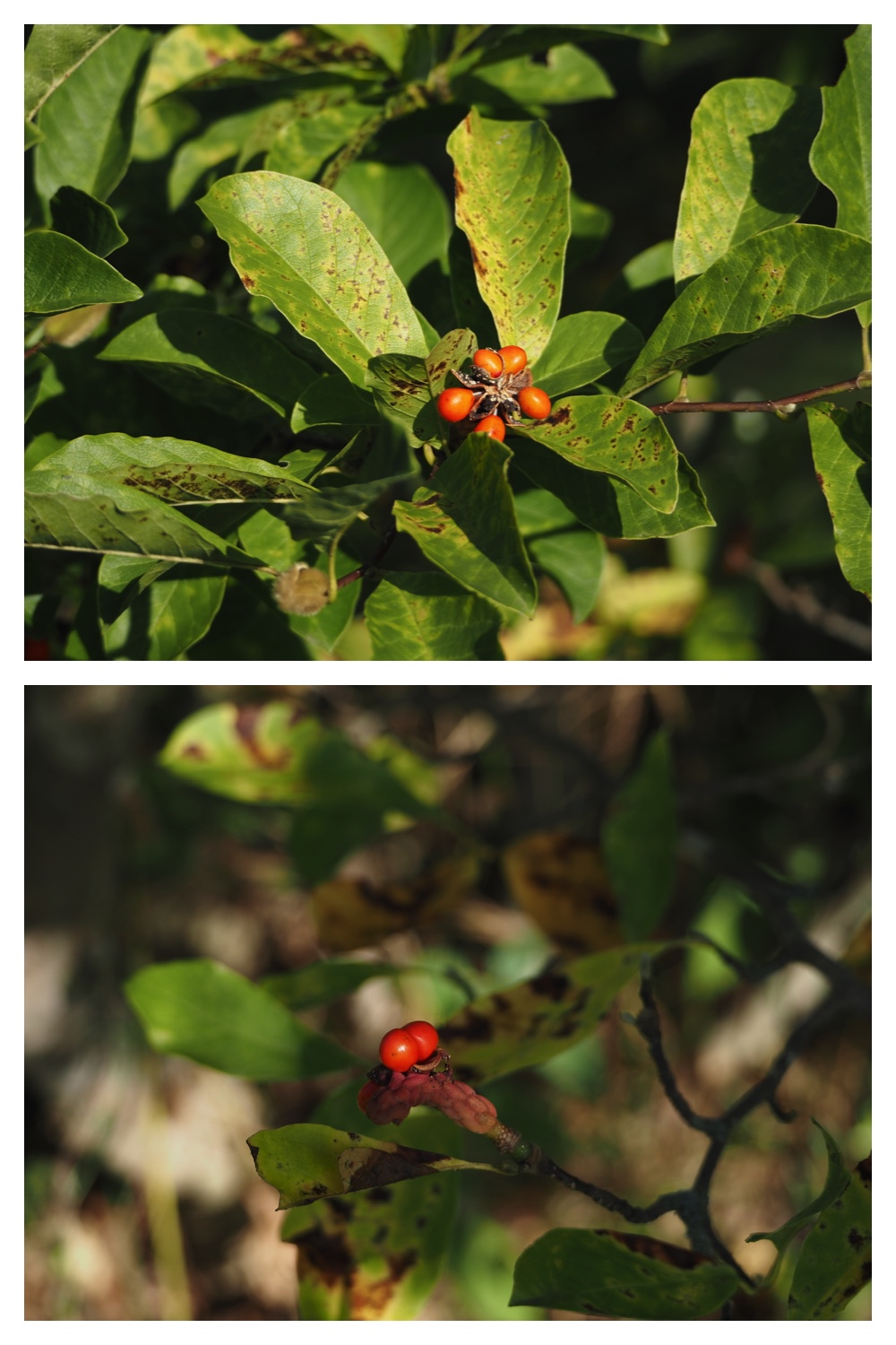 260930_Tokachi-hills_22