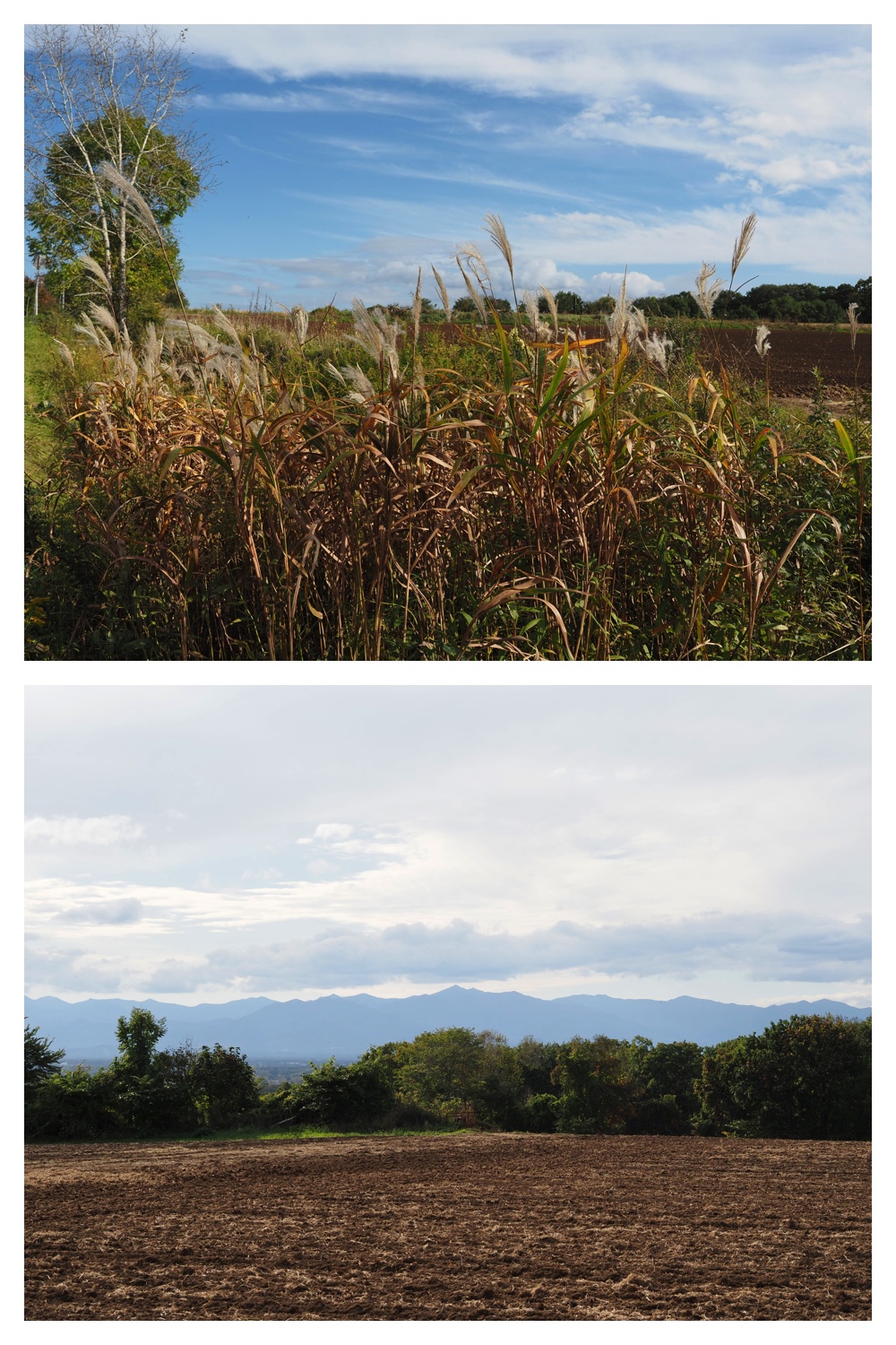 260930_Tokachi-hills_6