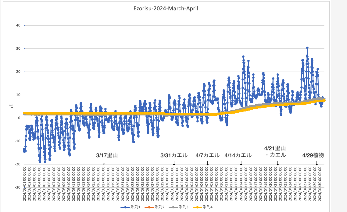 Ezorisu-2024-Mar-Apr-temp