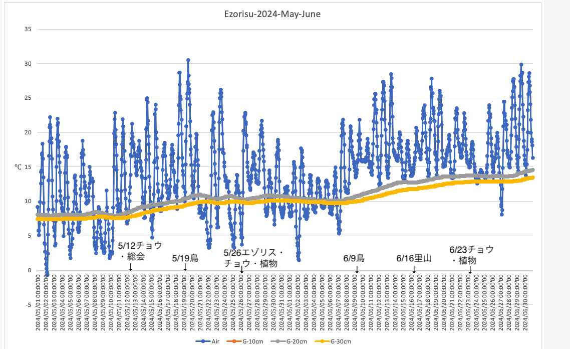 Ezorisu-2024-May-Jun-temp