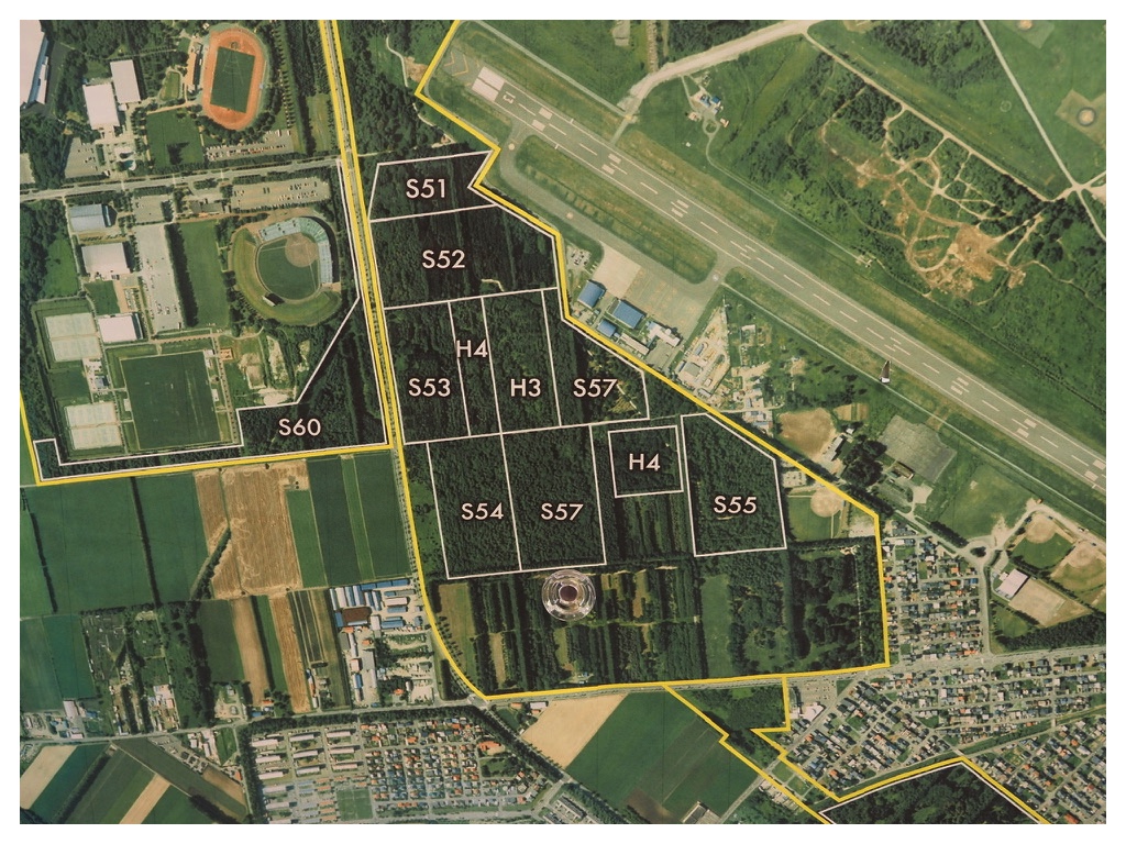 Impact-survey_241110_1