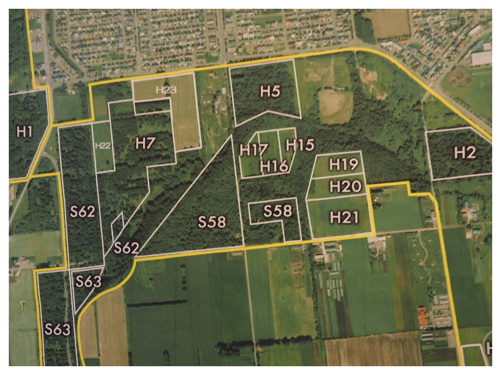 Impact-survey_241110_3