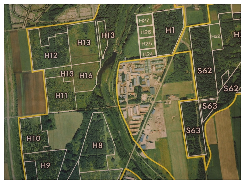 Impact-survey_241110_4