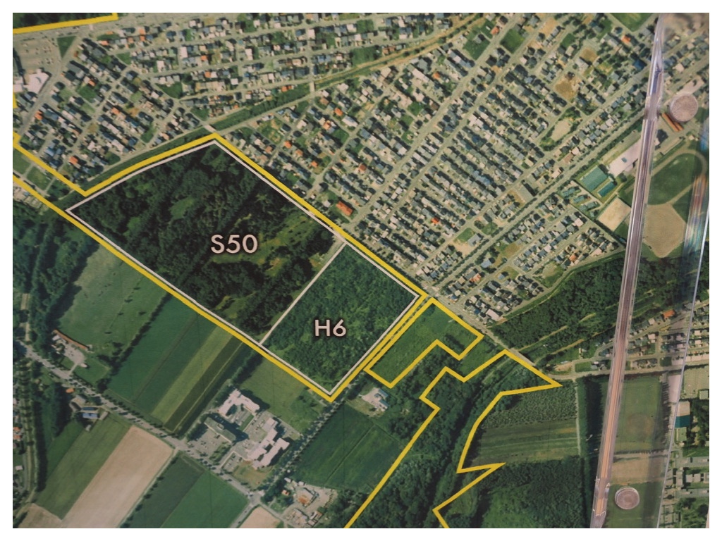 Impact-survey_241110_5