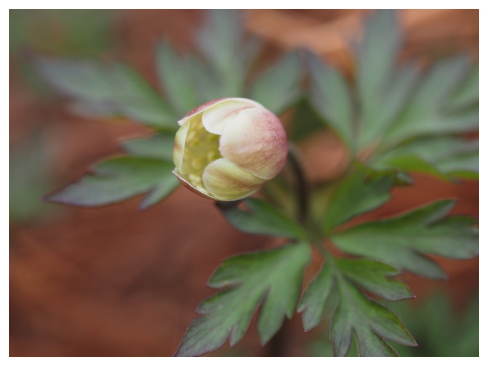 250412_Urahoroichige