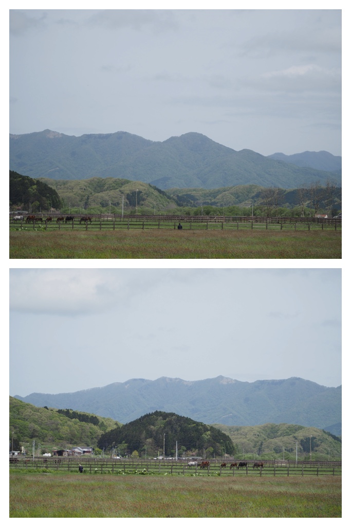 260524_Shizennshi-trip_10