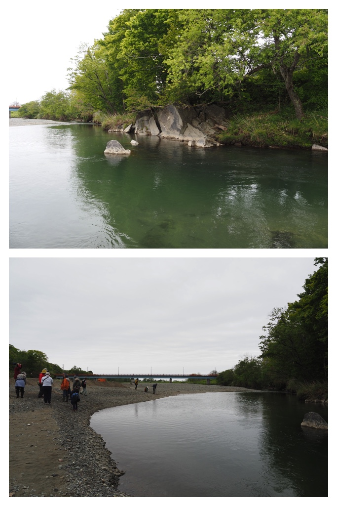 260524_Shizennshi-trip_19