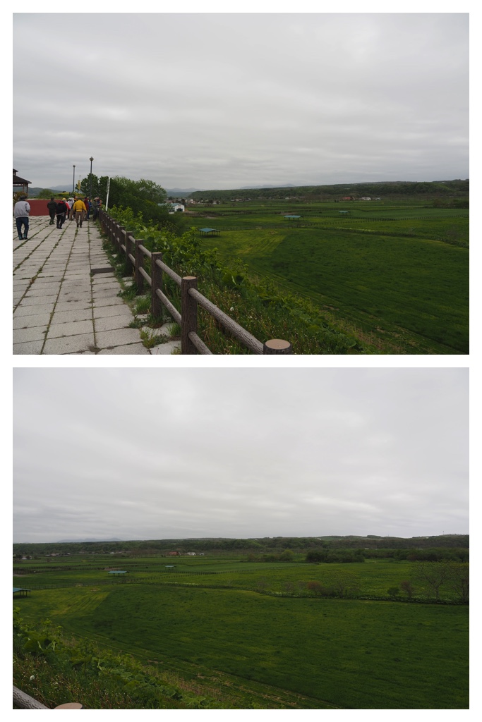 260524_Shizennshi-trip_21