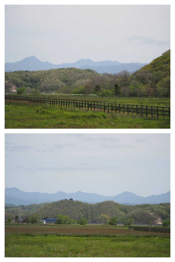 260524_Shizennshi-trip_6