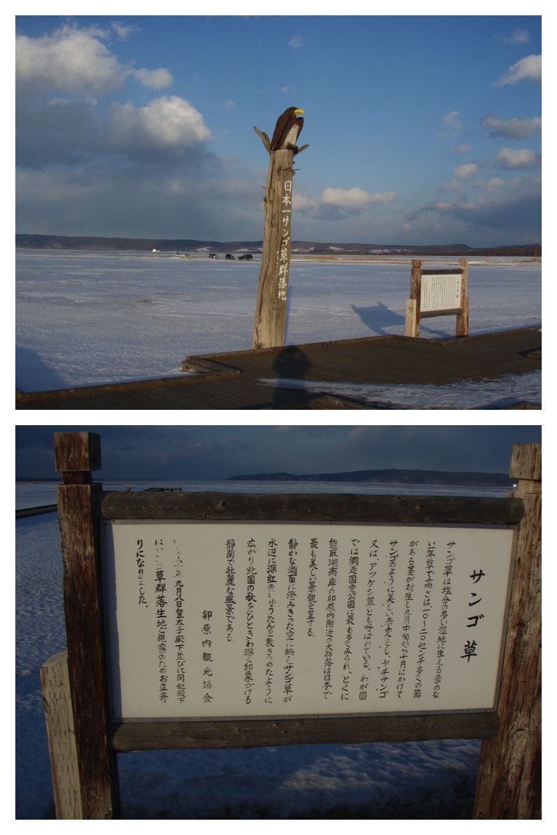 2009_0309_Abashiri_6