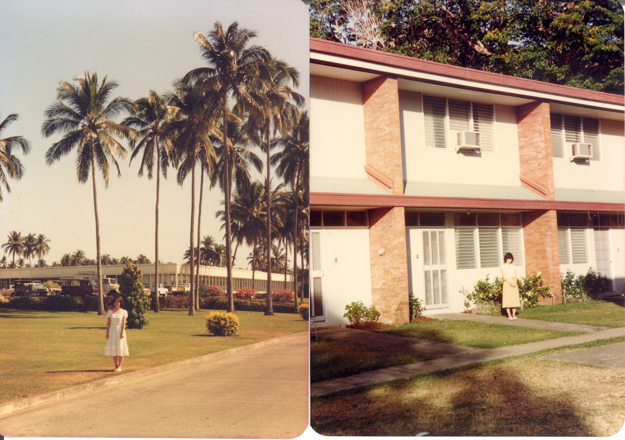 IRRI1981-15