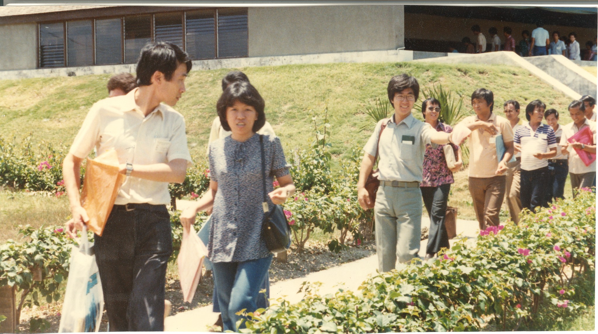 IRRI1982-24-Cebu